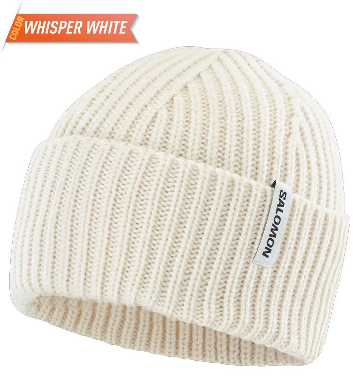 2026 SALOMON サロモン SNOWBIRD BEANIE スノーバード ビーニー ニット