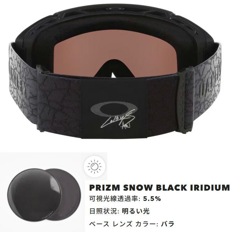 2026 OAKLEY オークリー スノーボード スキー ゴーグル FLOW SCAPE L